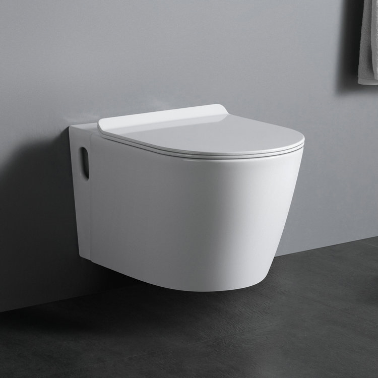 WP1002 Factory direct sell washdown wall hung toilet bowl with concealed cistern