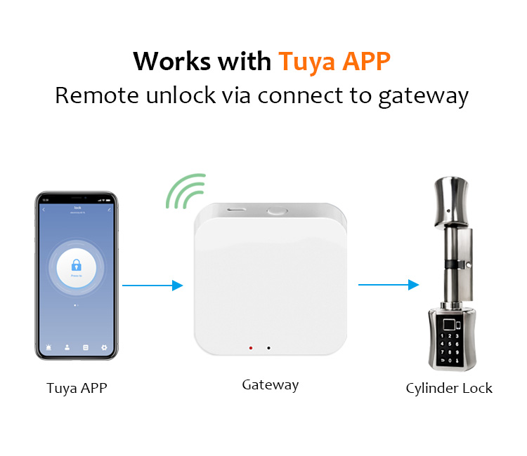 Tediton Best European Aluminum BLE APP Door Lock Cylinder with Fingerprint Key