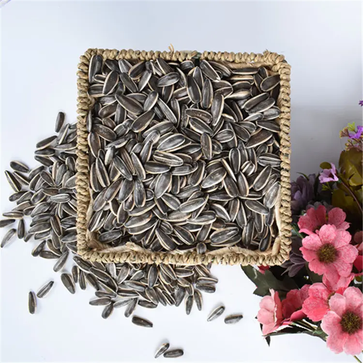 xinjiang original high quality raw sunflower seeds