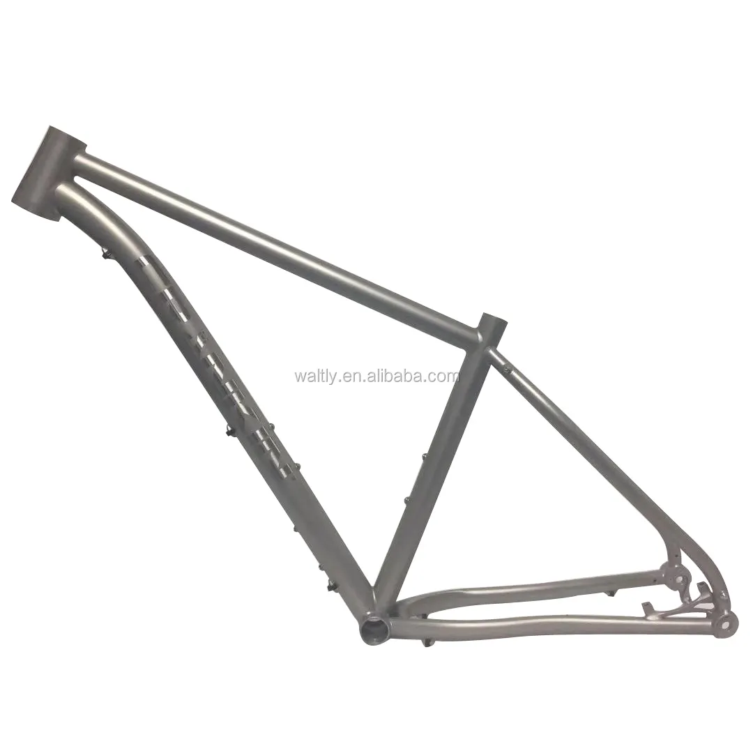 MTB titanium bike frame 29 inch for promotion