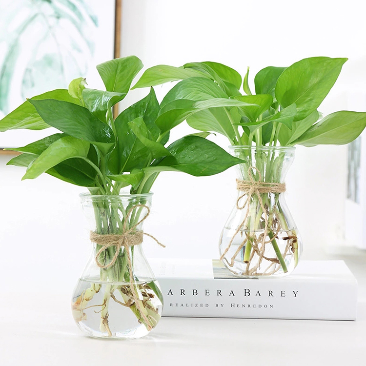 wholesale Cheap glass vase flowers arrangements