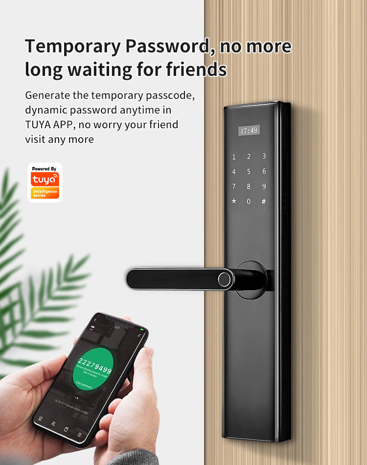 Tediton Tuya Wifi Biometric Fingerprint Intelligent Digital Push Pull Smart Door Lock