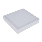 China Panel Light Supplier 6 8 16 24 Watt Surface Bis Ce Ceiling Mounted Led Light Fixtures
