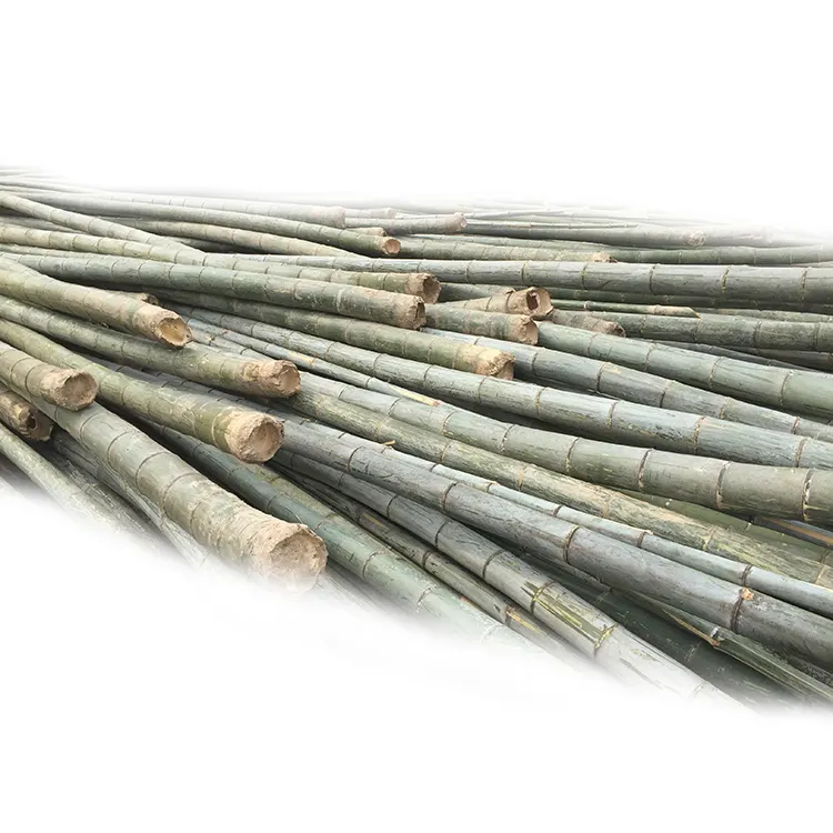 Fd-Eco-Friendly Agricultural Support Construction Grade Raw Bamboo Poles Natural