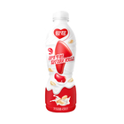 YINLU PET Peanut Milk 450ml*15 Looking for Distributor