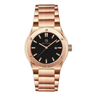 Wholesale Custom Brand Mens Mechanical Diver Watch Automatic
