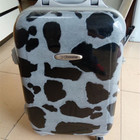 OEM High Quality Vacuum Thermoforming Plastic Luggage Box