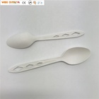 Premium Biodegradable PLA Flatware Set Disposable Dinner Spoon
