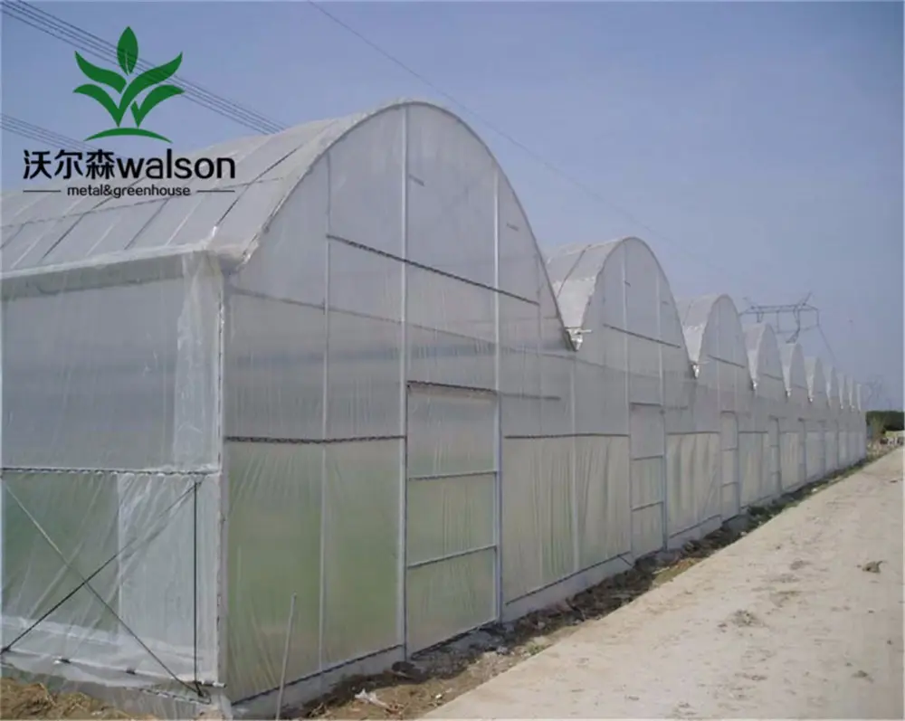 Poly Plastic Film Agriculture Greenhouse