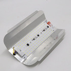 Victory Lighting 100W 50W Iodine Tungsten Lamp Outdoor Garden Landscape Spot factory room