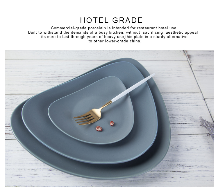 Theme Restaurant Food Dish Grey Triangle Shallow Plate