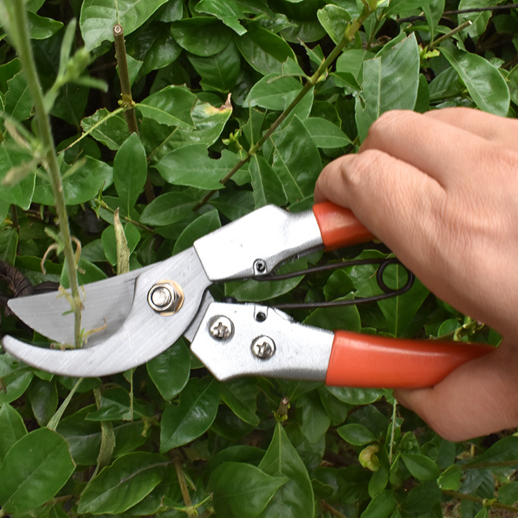 MT2241-3 Wholesale Soft Handle Garden Tool Single Pruning Garden Shears