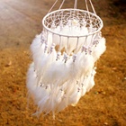 Hot Selling Big Feather Dreamcatcher Lights Dream Catcher