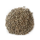 Factory Supplier Hemp Seeds Wholesale / Best Quality 99% Pure Organic Raw Hemp Seed for Bird