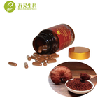 300mg reishi mushroom extract powder capsules