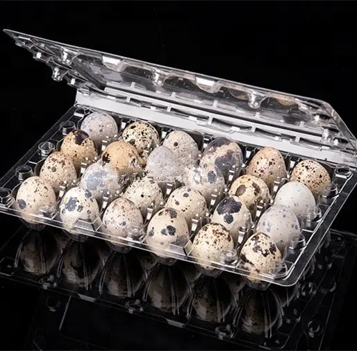 Hot Sale Clear PET Plastic Quail Egg Tray For Packing Eggs