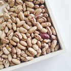 Direct supply light speckled kidney beans long shape for sale