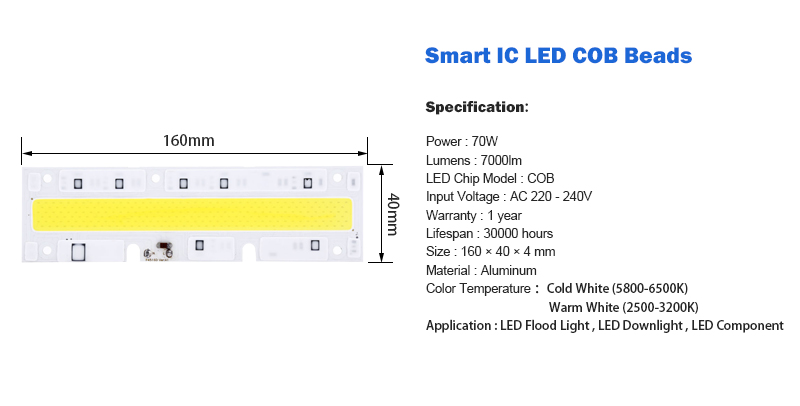 Led Cob Licht Chip 30W 50W 70W 100W 150W Led Lamp Chip 220V Input smart Ic Led Driver Voor Diy Led Schijnwerper