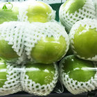 Fresh Guava Foam Protection Sleeve Net on Sale