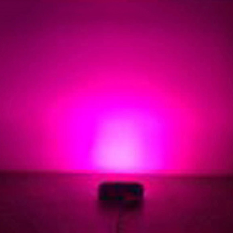 LED-Wachstumslichter 20 W 30 W 50 W 80 W UV-LED-Pflanzenwachstumslicht Vollspektrum AC110 V/220 V/DC12 V für den Innenanbau