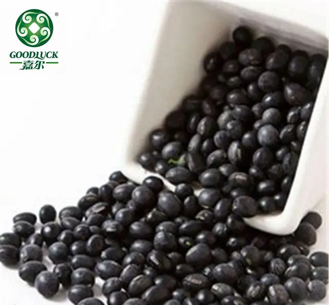 Wholesale Cheap Small Black Kidney Beans in Bulk , A leading supplier, Reasonable Price