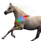 2019 factory wholesale high bright led horse harness