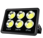 waterproof dustproof 50000hrs tempered glass screen 30000 lumen 300w led flood light