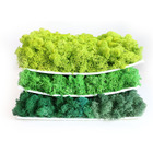 2019 Hot Sale Office Decoration 3d Natural Moss Wall panels preserved moss wall