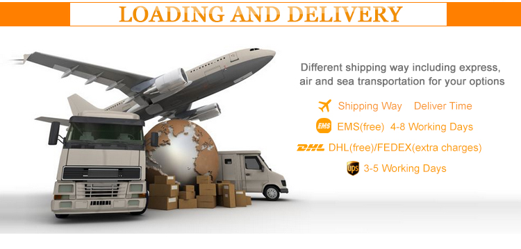 New Fashion Women's O-neck Short Sleeve European and American Compression In Stock for Tops