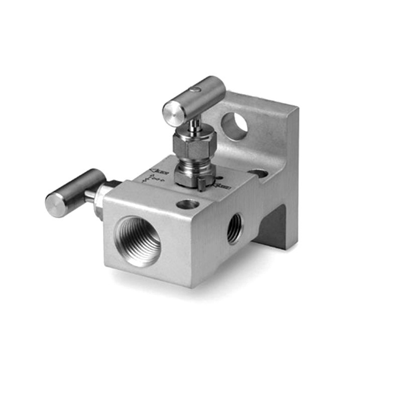 2way manifold 2-port pressure test manifold