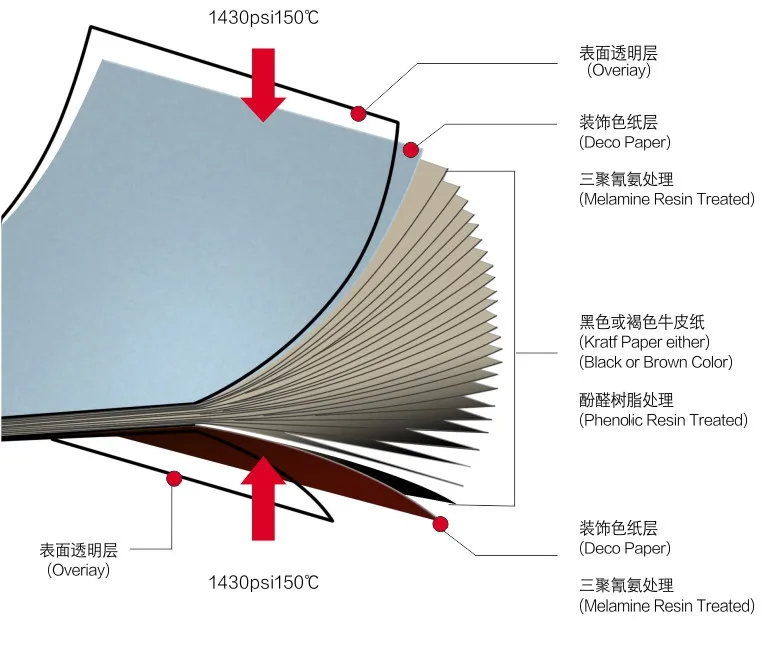 Toilet Partition Tabletop Locker Wall Cladding Panel Anti-Bacteria Phenolic HPL Compact Board China Manufacturer