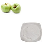 Most Popular Weight Loss Ingredients 100% Pure Garcinia Cambogia 95% HCA