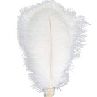 Real Natural Feathers Real Feathers Cheap Ostrich Feathers