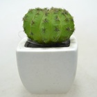 Mini Artificial Succulent Bonsai Tropical Plants _HC-SU7560BB-60
