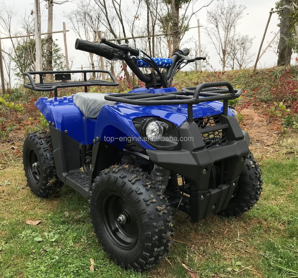 electric quad bike 800w