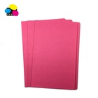 High quality color A4 letter paper portfolio file folder with prongs office school