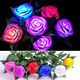 valentines day gifts single led rose flower