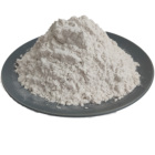Good Brucite Kieselguhr Powder Celite Food Grade Diatomite Filter Aid