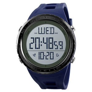 panars watch company