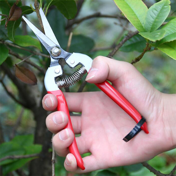 Garden Tools Fruit Pick up Scissor with Soft PVC Coated Handle