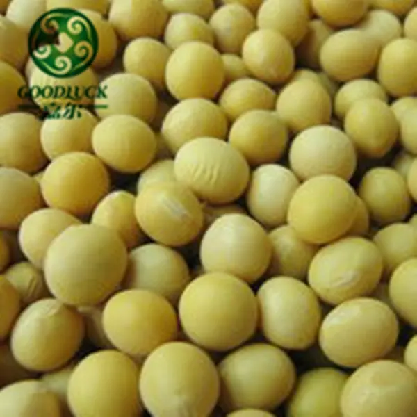 Specification of Buyer Soya Bean for Milk or Seeds