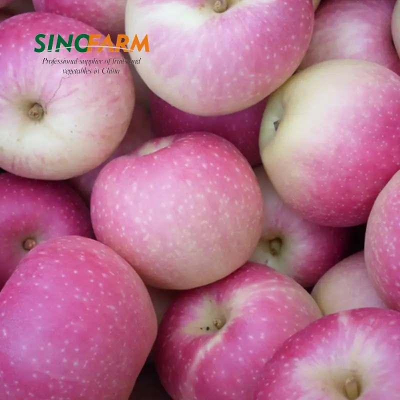 Оптовая продажа, свежие вкусные яблоки нового типа, вкусные экспортные фрукты, рыночные цены