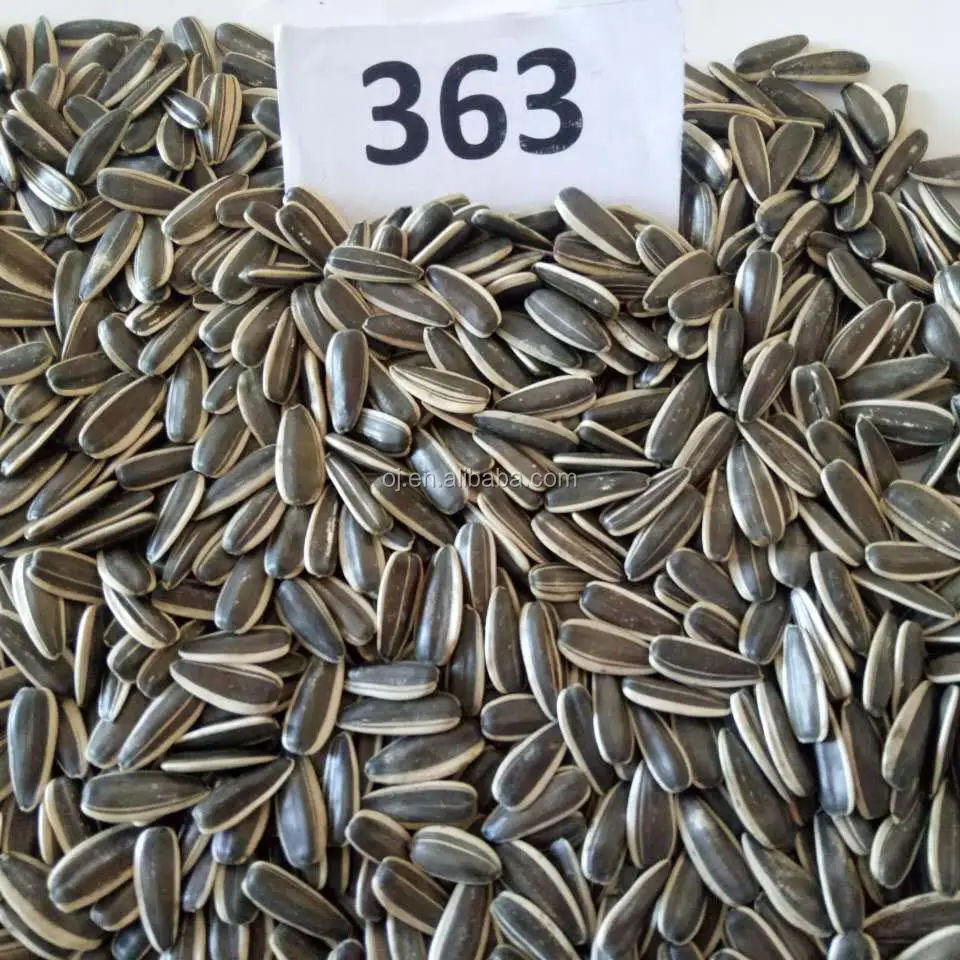Top grade sunflower seeds for human consumption