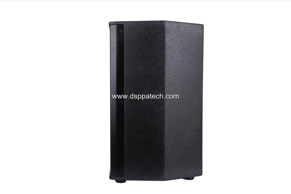 200W 10'' Professional 2 Way Conference Room Speaker