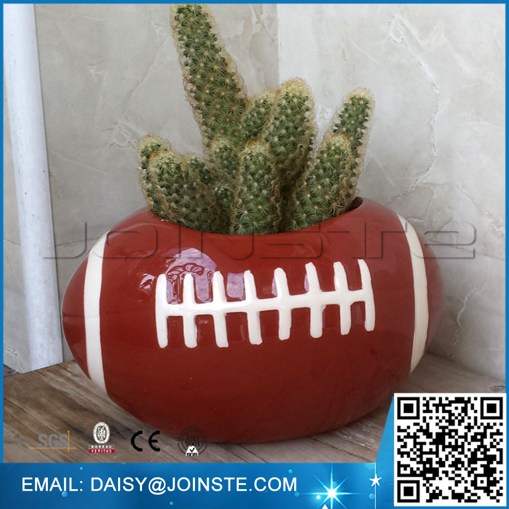 buddha temple plant Crassula 'Buddha's Temple' 2 Inch #A main image 1