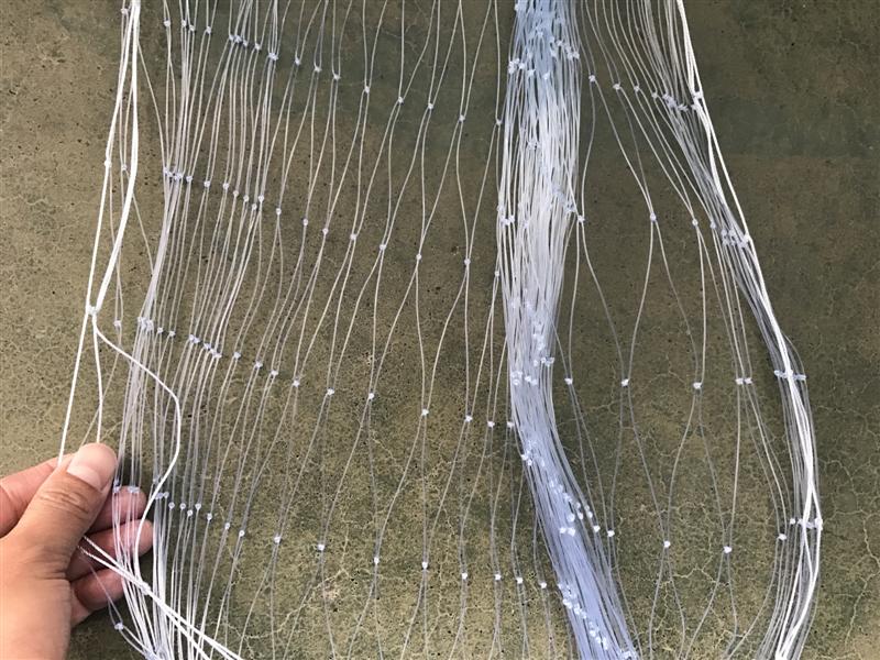 anchor brand fishing net Bridge and Pier Cast Net: Ideal for Catching Bait Fish Durable yet gentle on bait Anchor with Fishing Net &