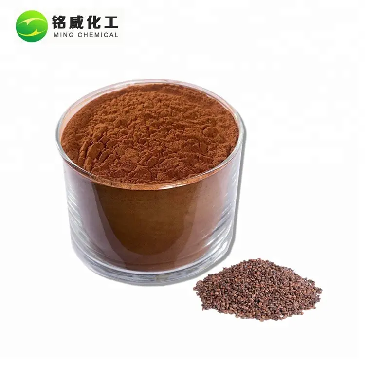 High Quality Organic Grape Seed Extract Procyanidin Oligomers Powder Manufacturer