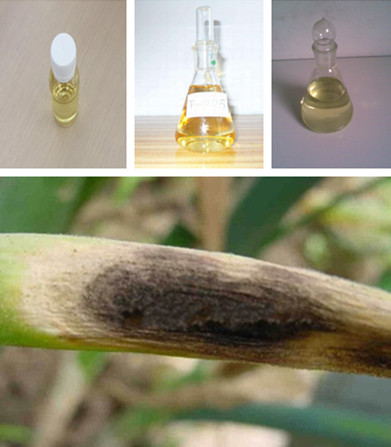 High Effective Factory Price Fungicide Ethylicin 90%EC Cas 682-91-7