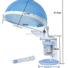AYJ-H073A Best 2 in 1 face hair spa machine price