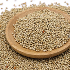 New crop red /white /yellow foxtail millet for bird seed